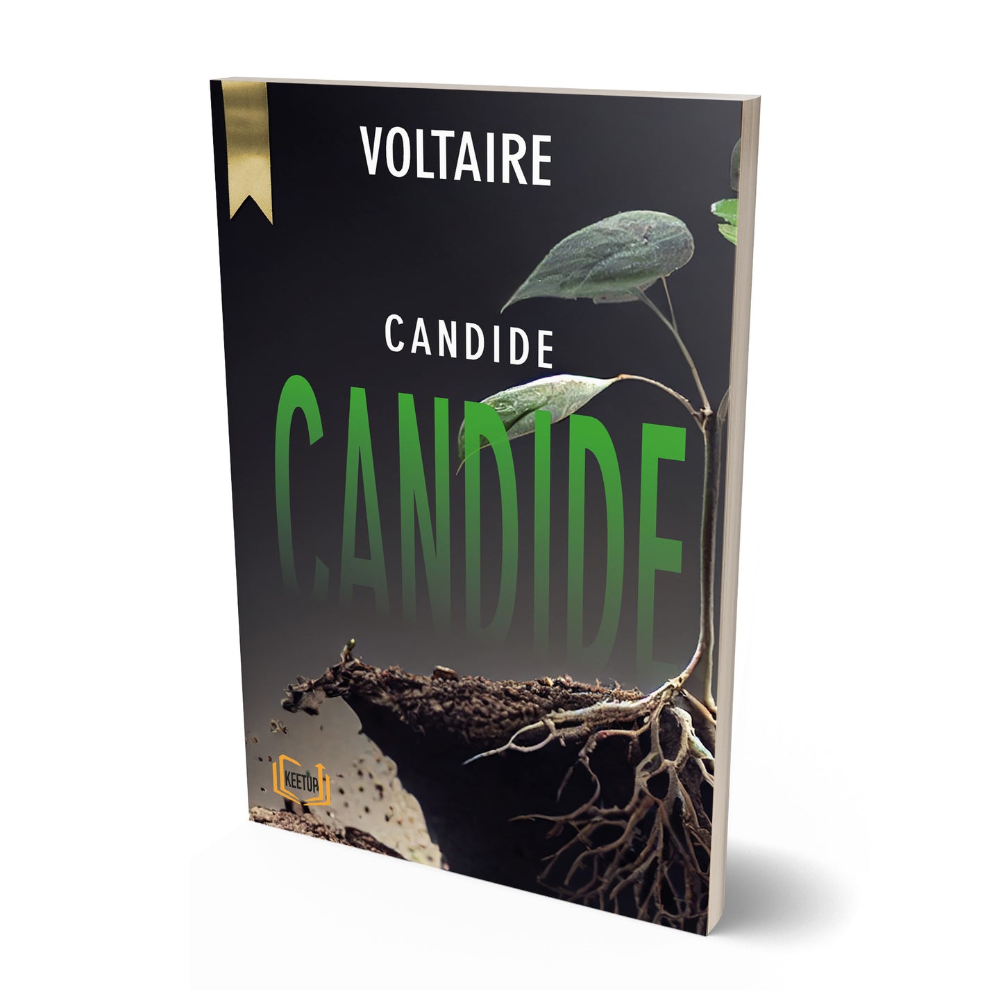 Candide by Voltaire